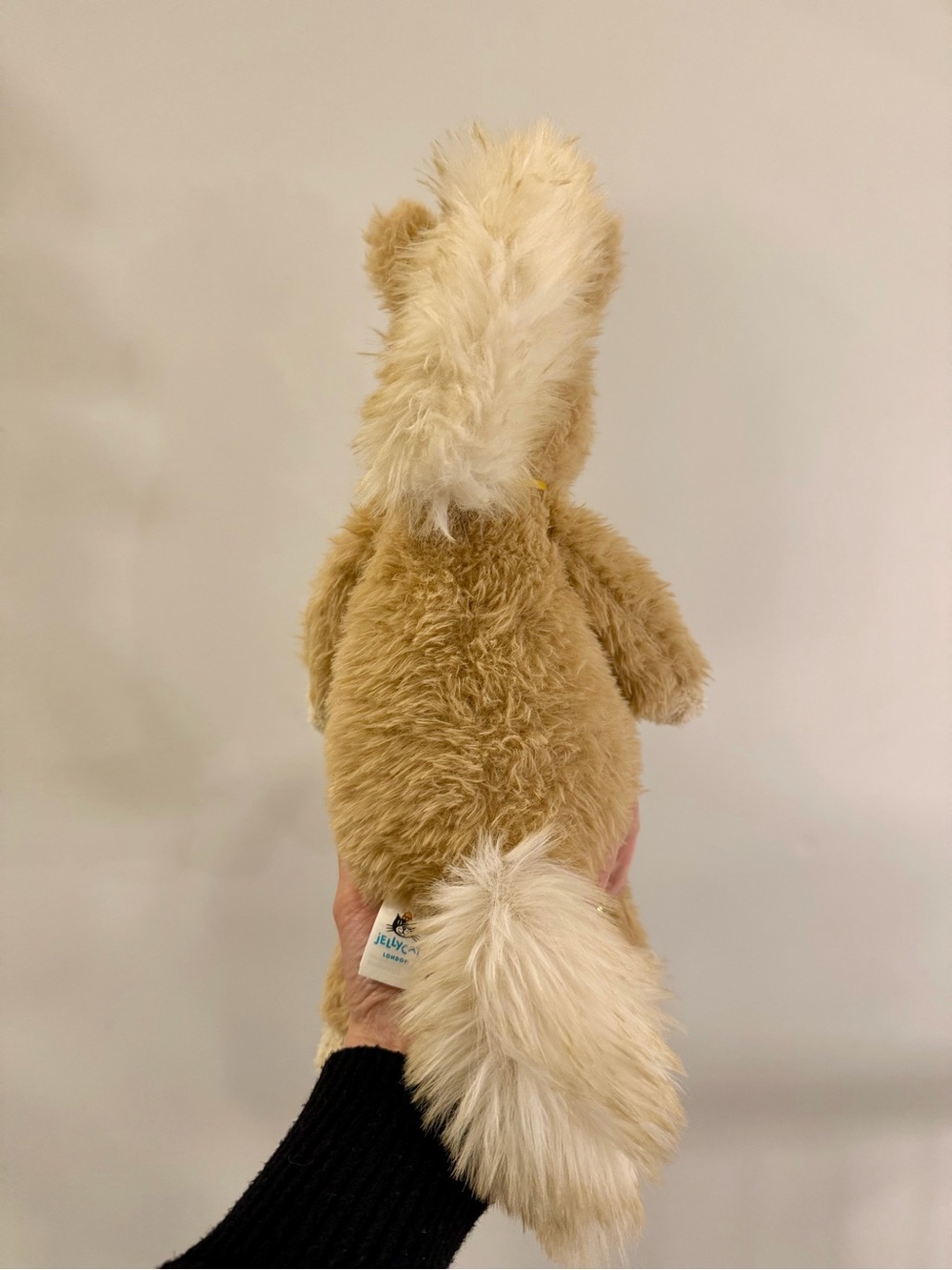 🐴𝐀𝐮𝐭𝐡𝐞𝐧𝐭𝐢𝐜 𝐉𝐞𝐥𝐥𝐲𝐜𝐚𝐭 𝐂𝐚𝐧𝐭𝐞𝐫𝐧𝐞𝐢𝐠𝐡 𝐏𝐨𝐧𝐲🐴 - Picture 3 of 7